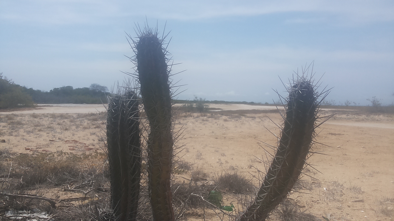 Galería ecosistemas 3