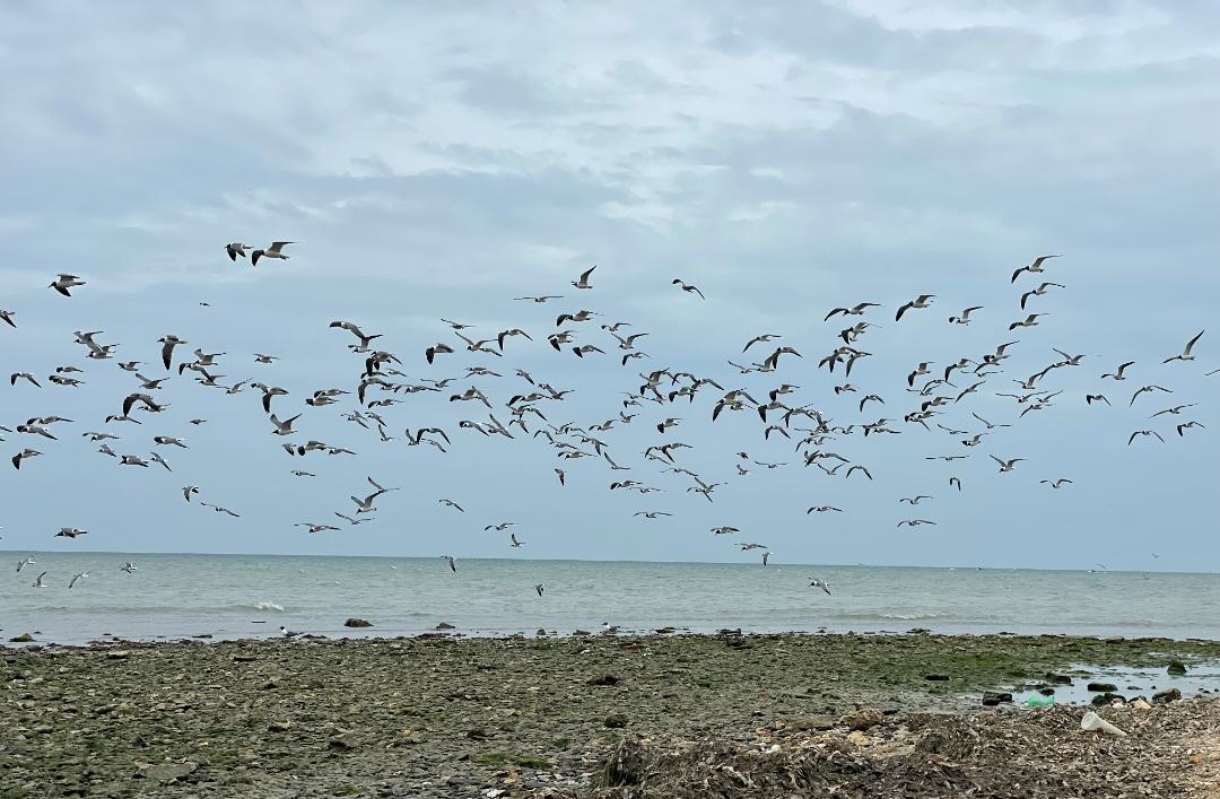 Galería ecosistemas 8